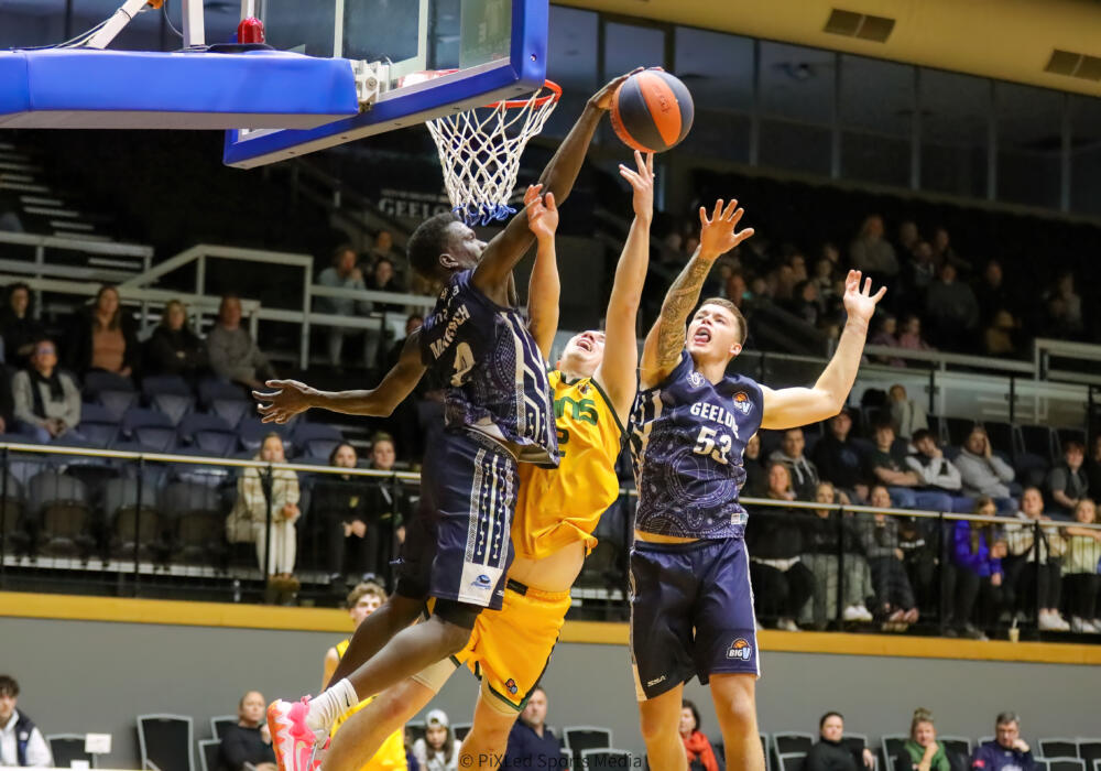 Sunssuns-6-deno-low-light