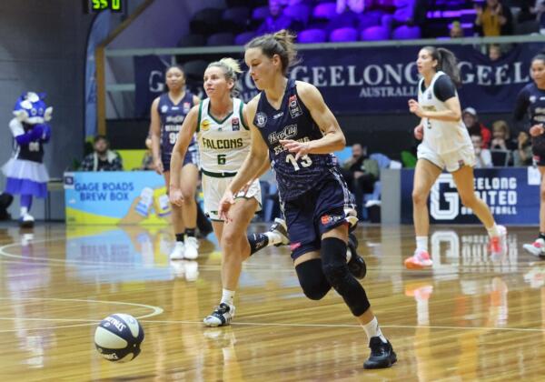 Nbl1 South - Preliminary Final - Geelong United Supercats Vs. Waverley Falcons