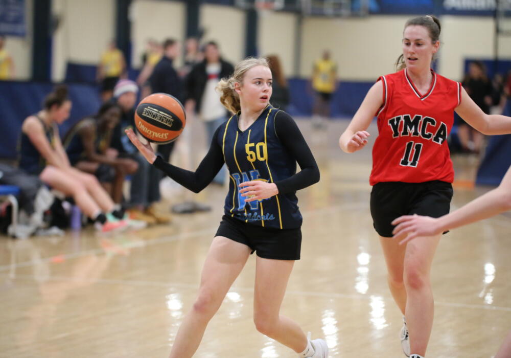 Wildcats - Jasmine King