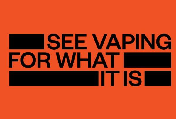 Website Article Asset