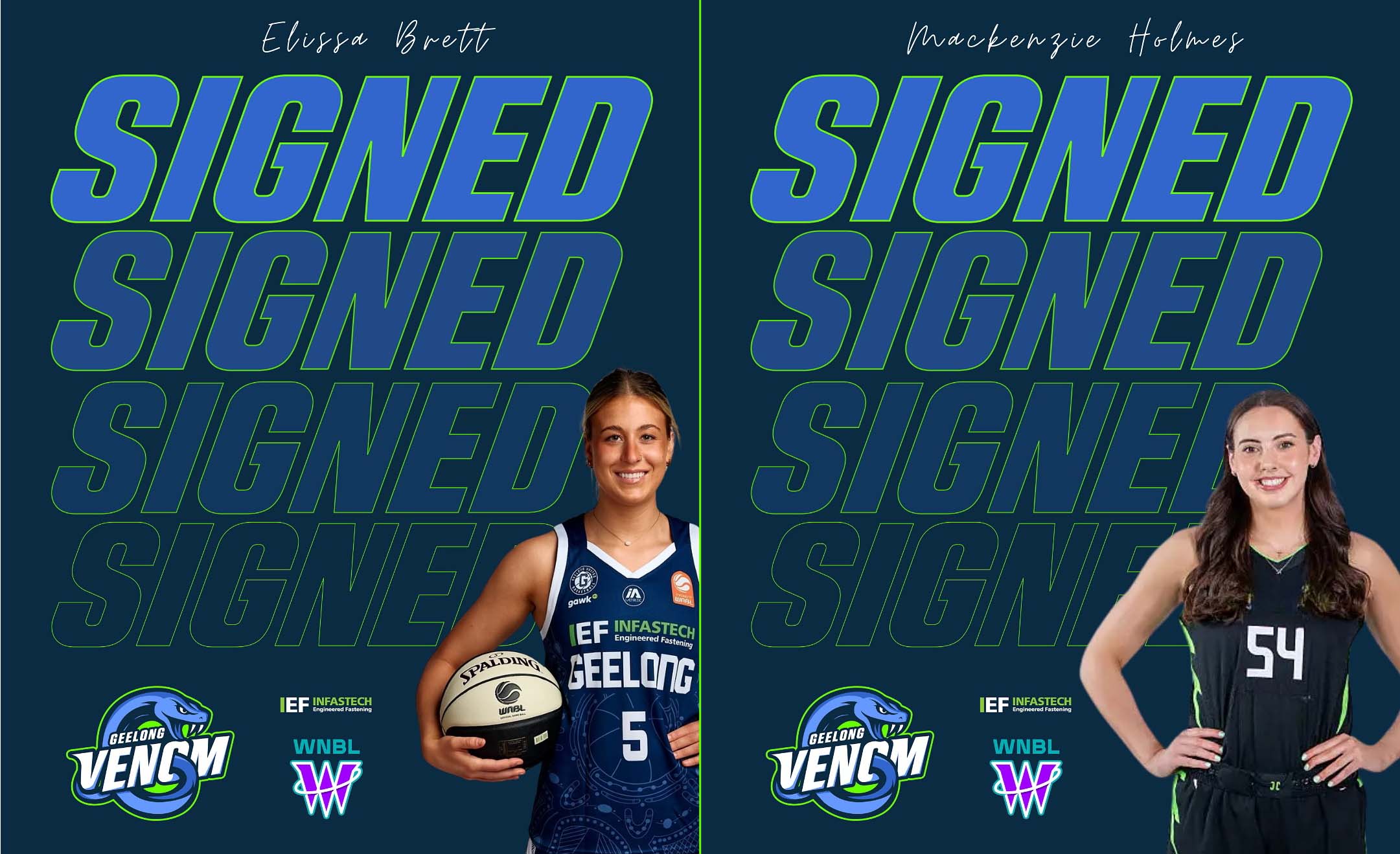 Wnbl Plauyer Signings