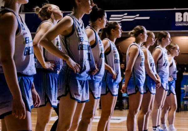 Whatsapp Image 2026-02-12 At 18.46.01