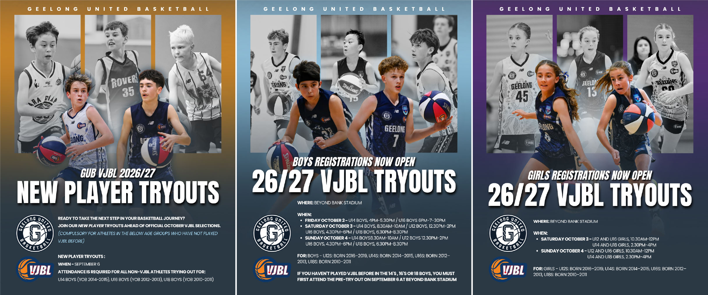 Vjbl Page Temp Banner