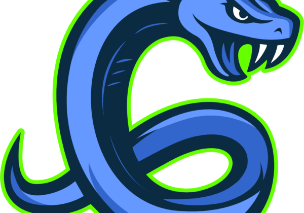 Geelong Venom